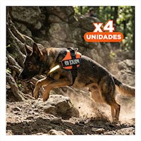 Pack4 Cinturon Canino Service Dog Talla XXL Anaranjado Soporte Seguro Y+Regalo Sticker